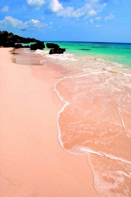 Bermuda百慕大群岛