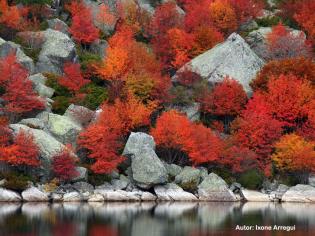 秋季的内格拉湖