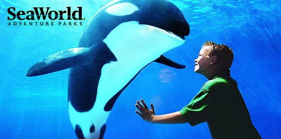 SeaWorld Adventure Parks