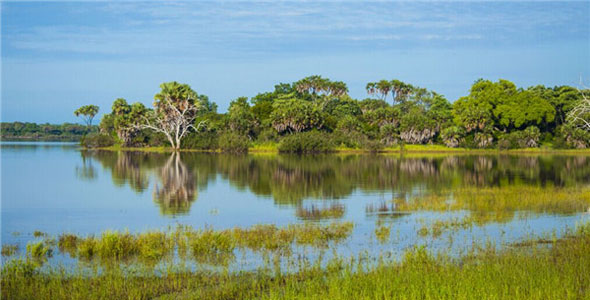 非洲水世界 走进坦桑尼亚塞卢斯湿地