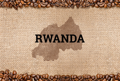 卢旺达的“饮品”之旅·咖啡篇