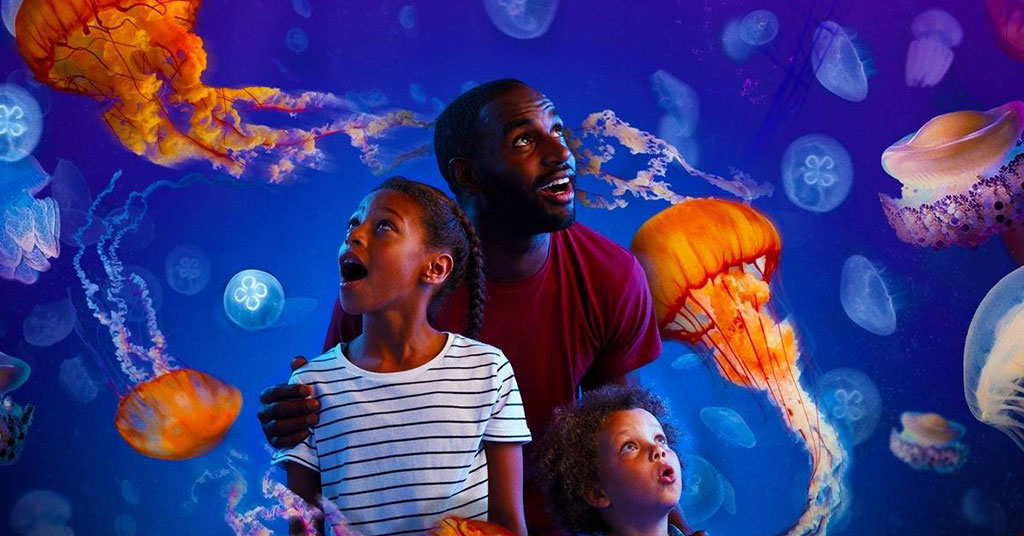 伦敦水族馆