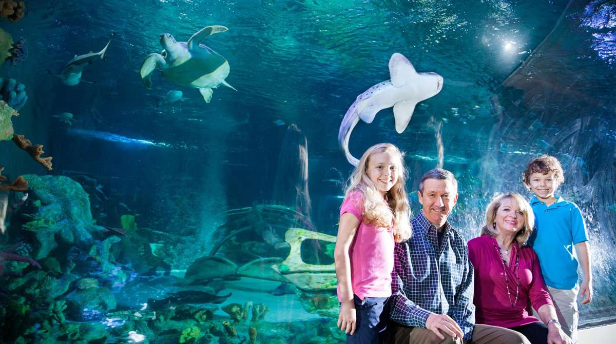 伦敦水族馆