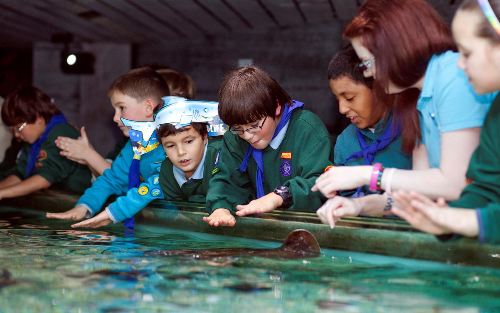 伦敦水族馆